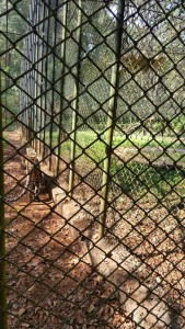 IMG-20160206-WA0014